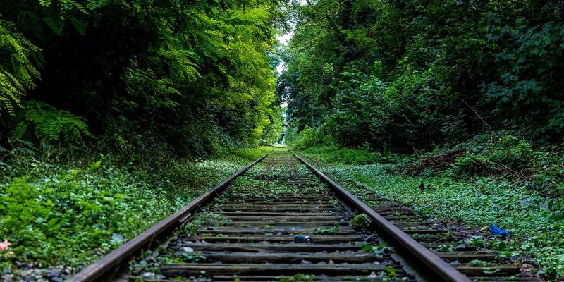 MPLS在云时代的华丽转身：从骨干网基石到SD-WAN、SASE的融合引擎