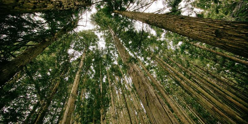 从106JSB到高效开发：2024年程序员必备的软件工具与实战攻略