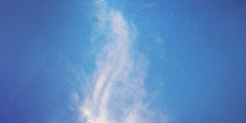 从代码到云端：SDN如何重塑企业网络架构？一个106JSB资源分享者的实战解析