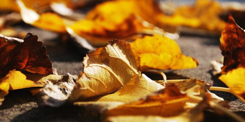 从工具到思维:网络技术高手的进阶之路与必备利器