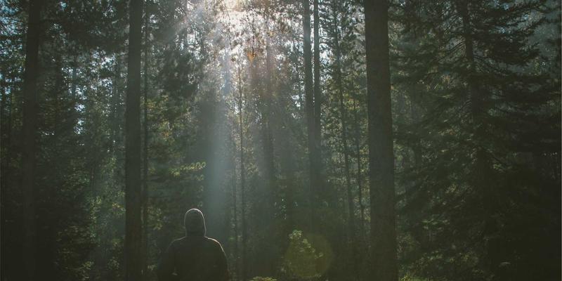 告别网络变更恐慌:构建基于CI/CD的自动化测试框架,让每次变更都稳定可靠