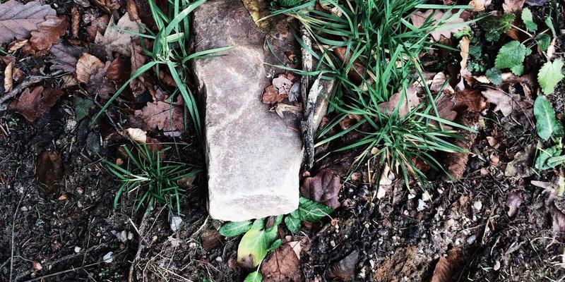 告别网络救火队:用AI驱动的意图网络(IBN)实现自愈与自动化