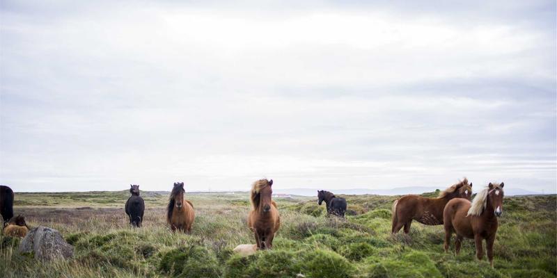 智能守护网络动脉:人工智能如何革新流量分析与异常检测