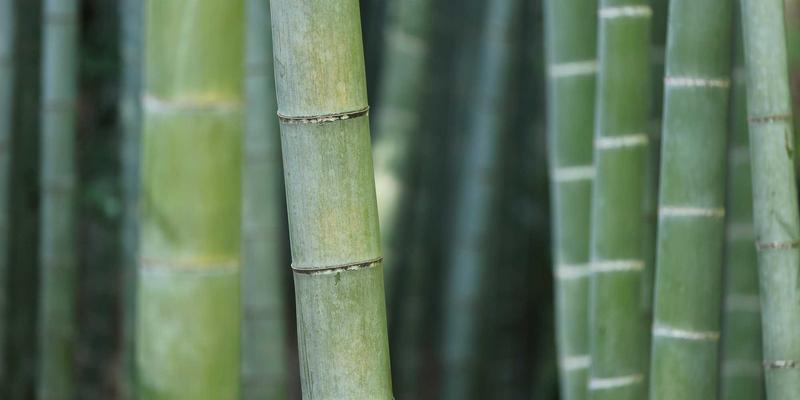 网络技术77实战指南:从106JSB入门到精通数字资源管理