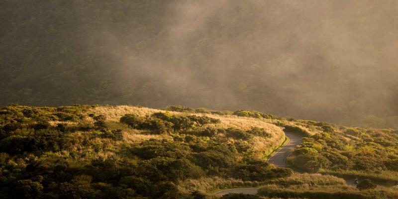 网络数据包代理(NPB)技术深度解析:如何成为提升安全与监控能见度的关键枢纽